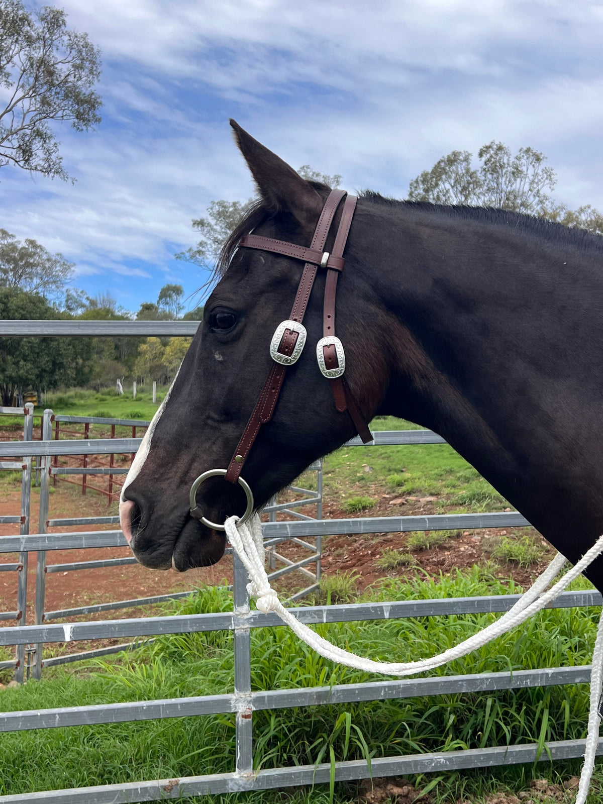 BRIDLES