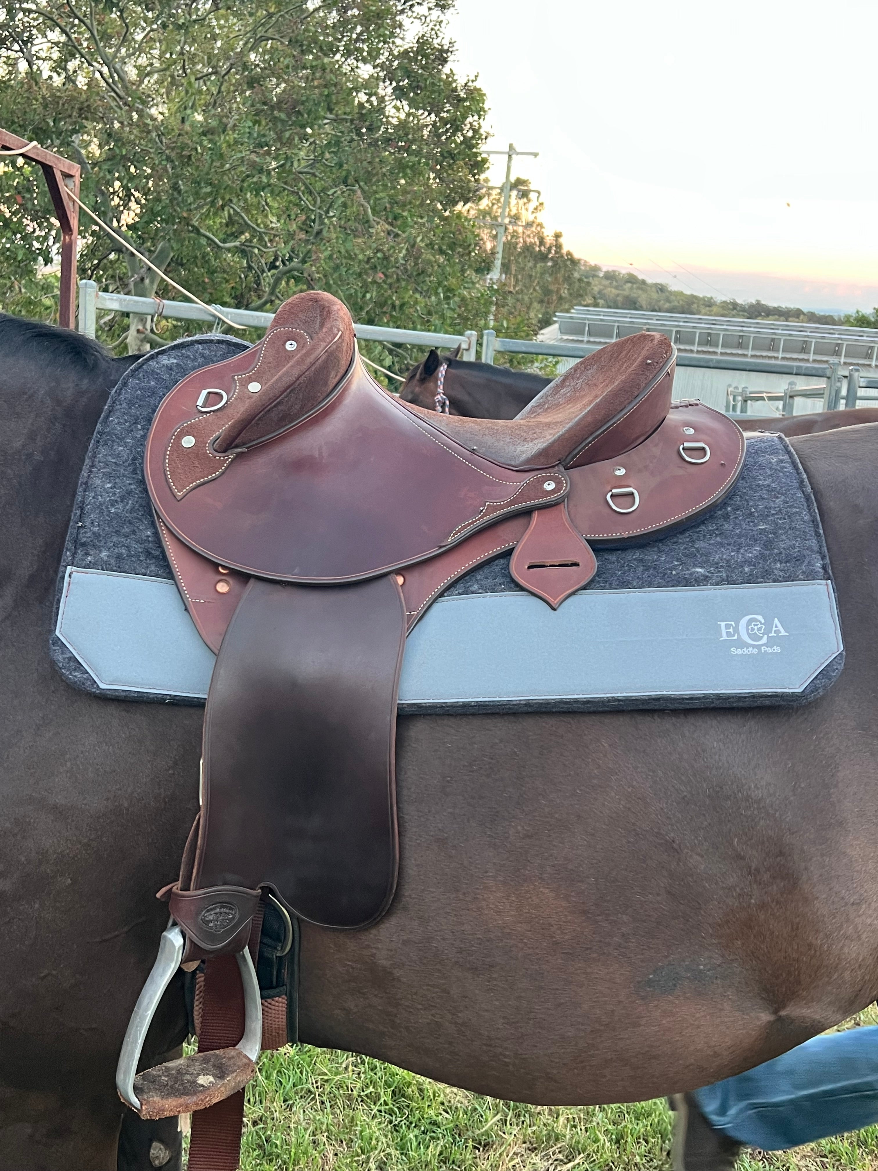 Wither Relief Work Pads