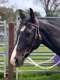The Classic Split Head Bridle