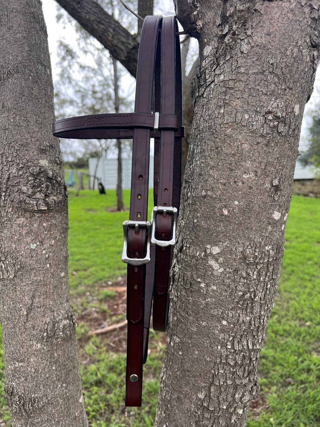 The Classic Split Head Bridle