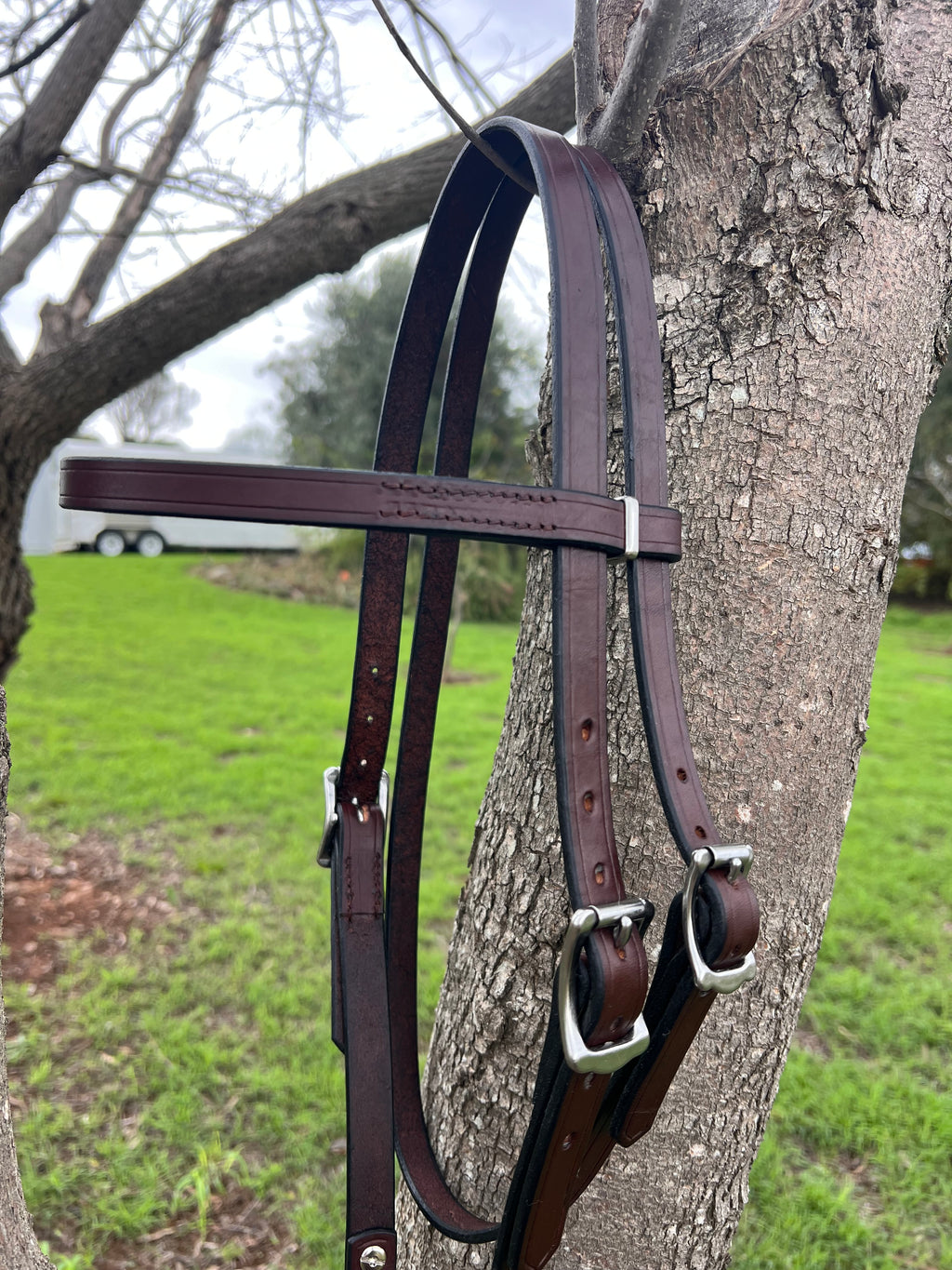 The Classic Split Head Bridle